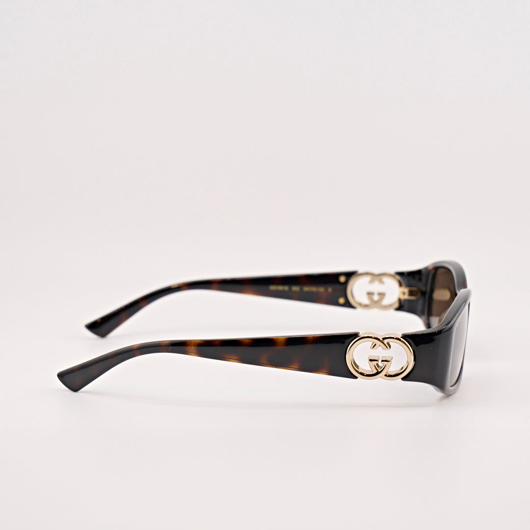 GUCCI 1661S tortoiseshell